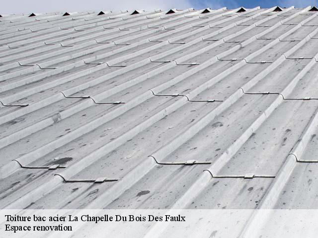 Toiture bac acier  la-chapelle-du-bois-des-faulx-27930 Espace renovation
