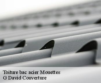 Toiture bac acier mouettes-27220 G David Couverture