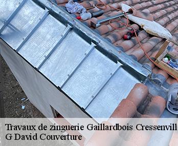 Travaux de zinguerie