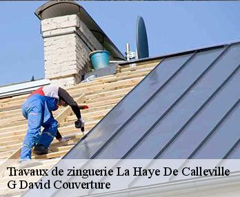 Travaux de zinguerie  la-haye-de-calleville-27800 G David Couverture