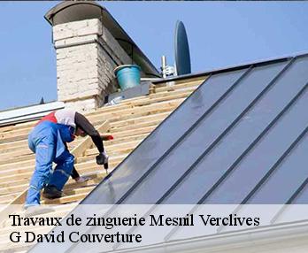 Travaux de zinguerie  mesnil-verclives-27440 G David Couverture