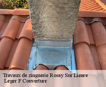 Travaux de zinguerie rosay-sur-lieure-27790 Leger F Couverture