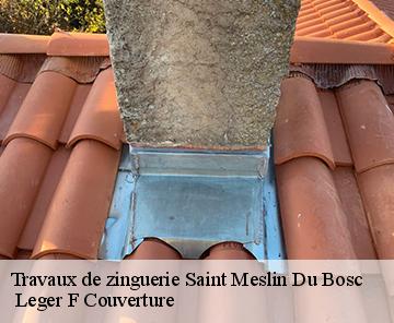 Travaux de zinguerie saint-meslin-du-bosc-27370 Leger F Couverture
