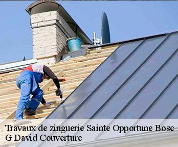 Travaux de zinguerie sainte-opportune-bosc-27110 G David Couverture