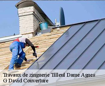 Travaux de zinguerie tilleul-dame-agnes-27170 G David Couverture