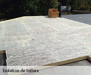 Isolation de toiture  27500