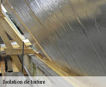 Isolation de toiture  27240