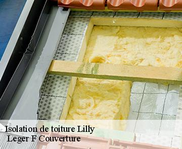 Isolation de toiture  lilly-27480  Leger F Couverture