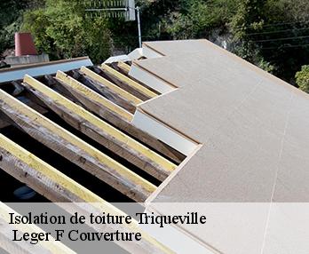 Isolation de toiture  27500