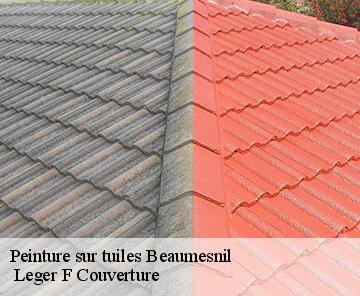 Peinture sur tuiles  beaumesnil-27410  Leger F Couverture