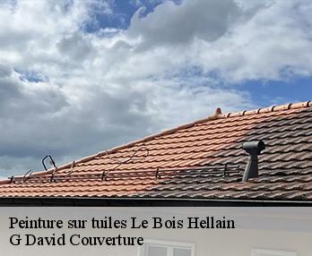 Peinture sur tuiles  le-bois-hellain-27260 G David Couverture
