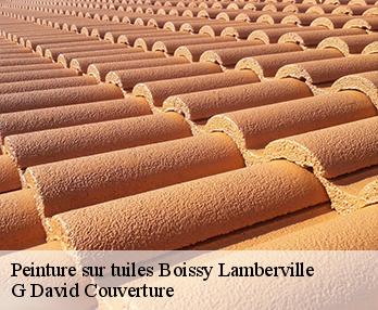 Peinture sur tuiles 27300