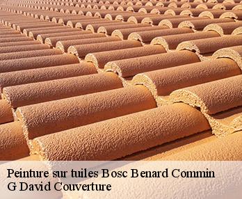 Peinture sur tuiles  27520