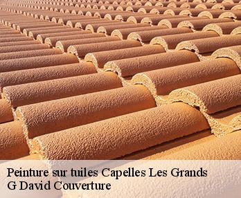 Peinture sur tuiles 27270