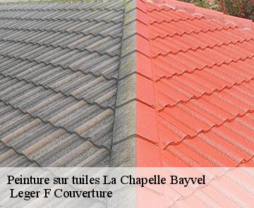 Peinture sur tuiles  la-chapelle-bayvel-27260 Espace renovation