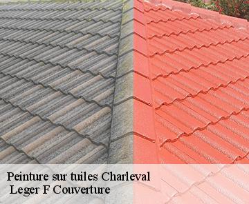 Peinture sur tuiles  charleval-27380  Leger F Couverture
