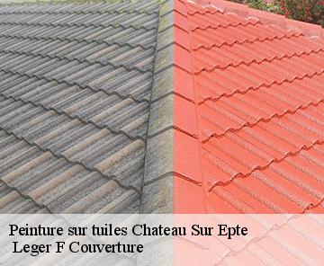 Peinture sur tuiles chateau-sur-epte-27420 Leger F Couverture