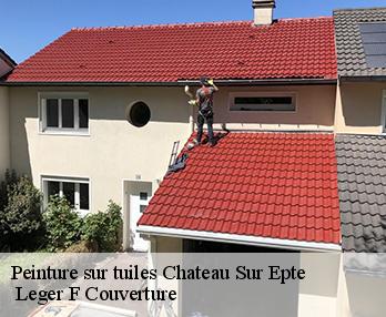 Peinture sur tuiles 27420