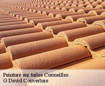 Peinture sur tuiles 27260