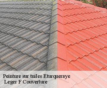 Peinture sur tuiles eturqueraye-27350 Leger F Couverture