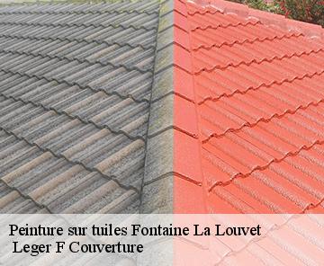 Peinture sur tuiles  fontaine-la-louvet-27230 Espace renovation