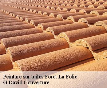 Peinture sur tuiles 27510