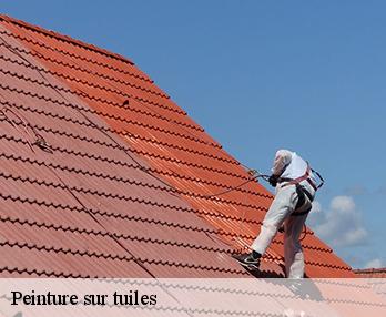 Peinture sur tuiles  27800