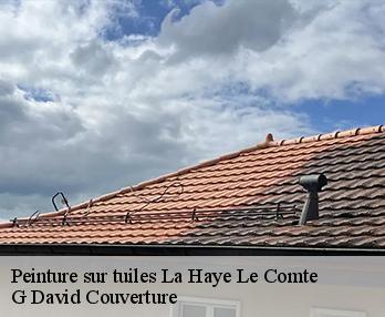 Peinture sur tuiles la-haye-le-comte-27400 G David Couverture