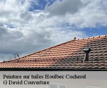 Peinture sur tuiles houlbec-cocherel-27120 G David Couverture