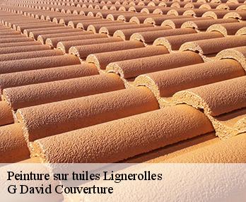 Peinture sur tuiles 27220