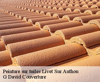 Peinture sur tuiles 27800