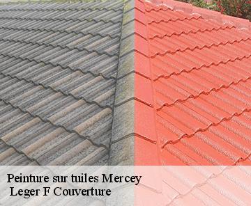 Peinture sur tuiles  mercey-27950  Leger F Couverture