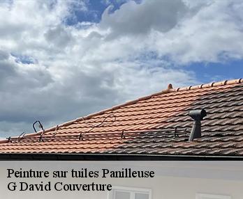 Peinture sur tuiles  panilleuse-27510 G David Couverture
