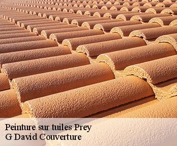 Peinture sur tuiles  27220