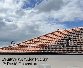 Peinture sur tuiles  puchay-27150 G David Couverture
