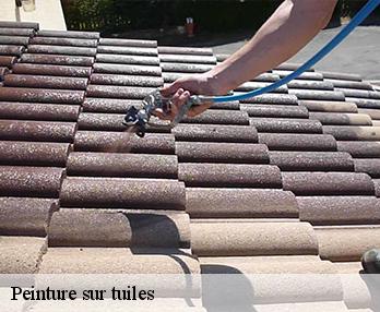 Peinture sur tuiles