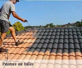 Peinture sur tuiles
