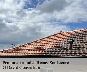 Peinture sur tuiles rosay-sur-lieure-27790 G David Couverture