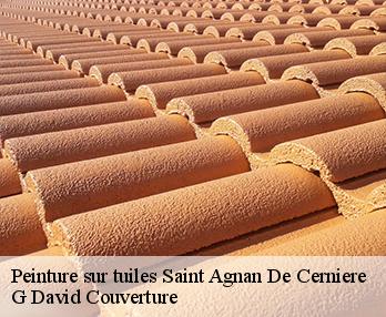 Peinture sur tuiles 27390