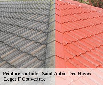 Peinture sur tuiles  saint-aubin-des-hayes-27410  Leger F Couverture