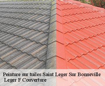 Peinture sur tuiles saint-leger-sur-bonneville-27210 Espace renovation