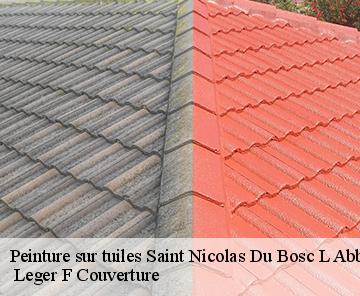 Peinture sur tuiles  saint-nicolas-du-bosc-l-abbe-27300 Espace renovation