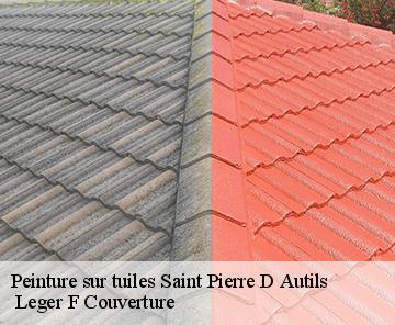 Peinture sur tuiles  saint-pierre-d-autils-27950  Leger F Couverture
