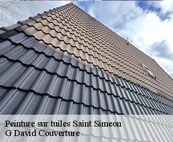 Peinture sur tuiles