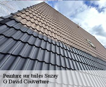 Peinture sur tuiles