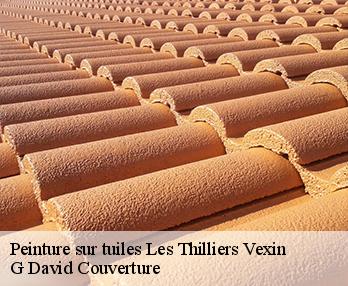 Peinture sur tuiles 27420