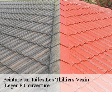 Peinture sur tuiles les-thilliers-vexin-27420 Espace renovation