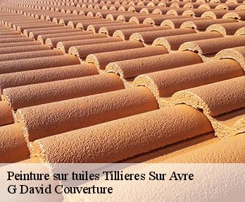 Peinture sur tuiles 27570