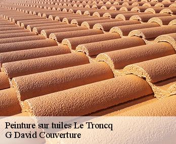 Peinture sur tuiles 27110