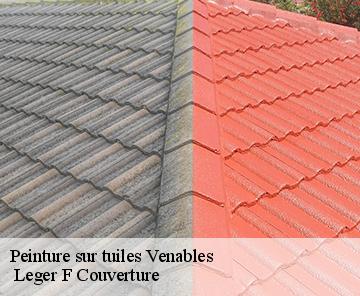 Peinture sur tuiles  venables-27940  Leger F Couverture